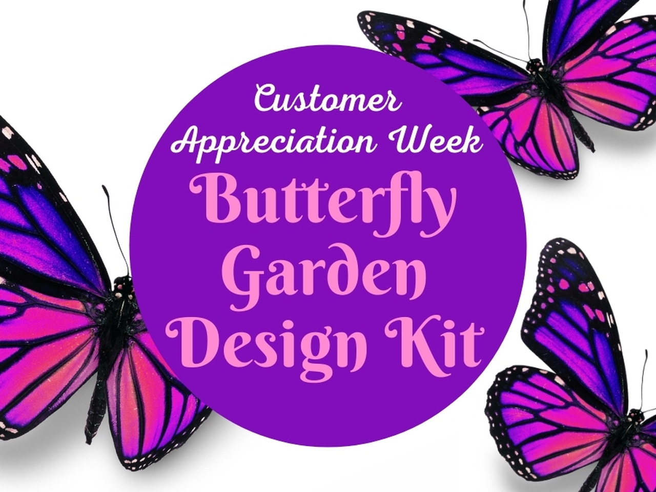 Customer Appreciation Week Butterfly Garden Design Kit