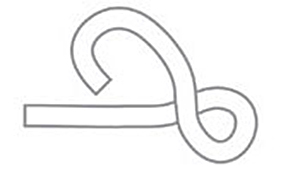 Figure Eight Knot - Step 2