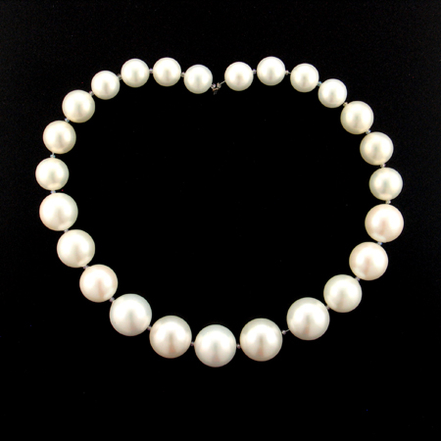 Shop Shell Pearls!
