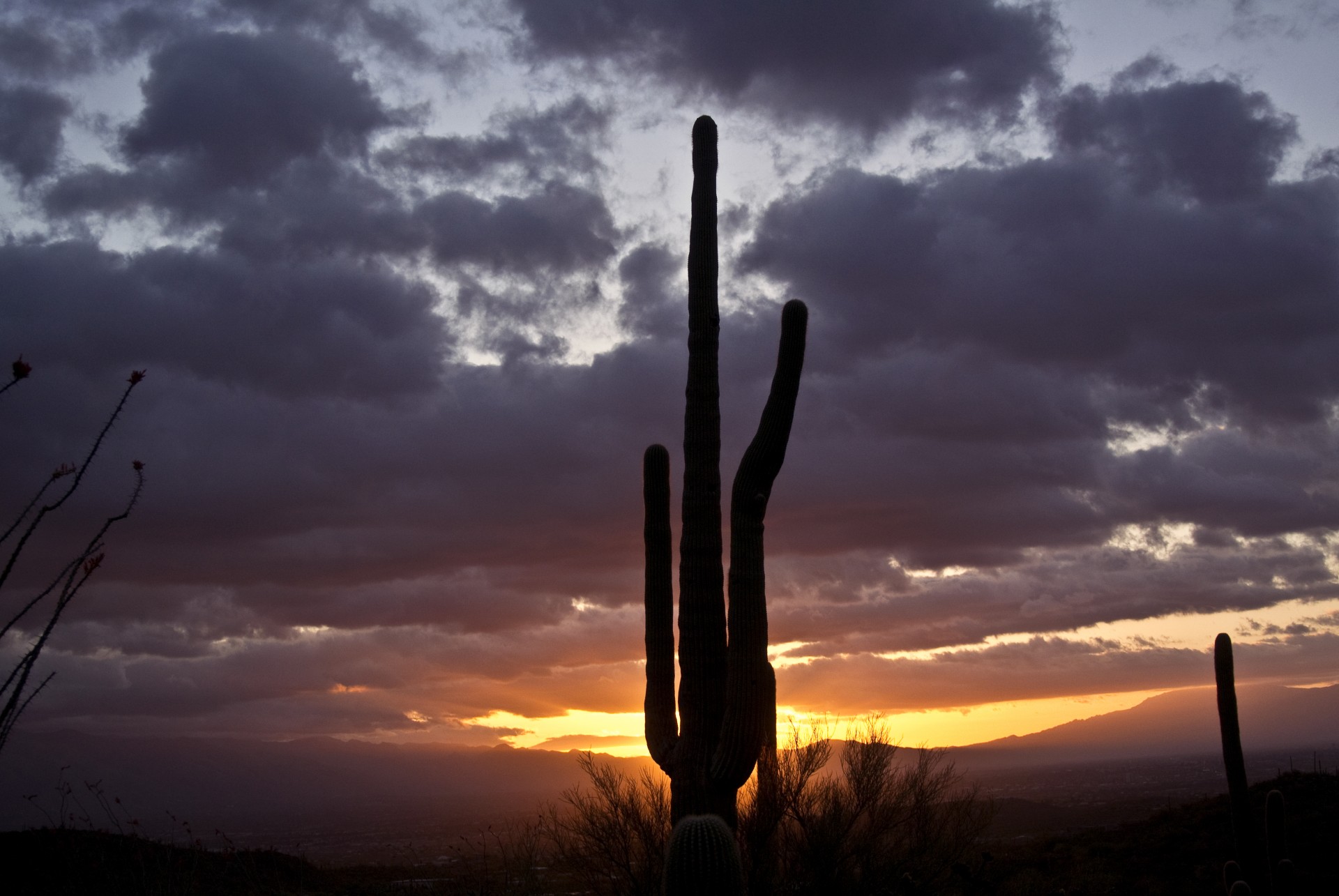 Tucson Sunrise